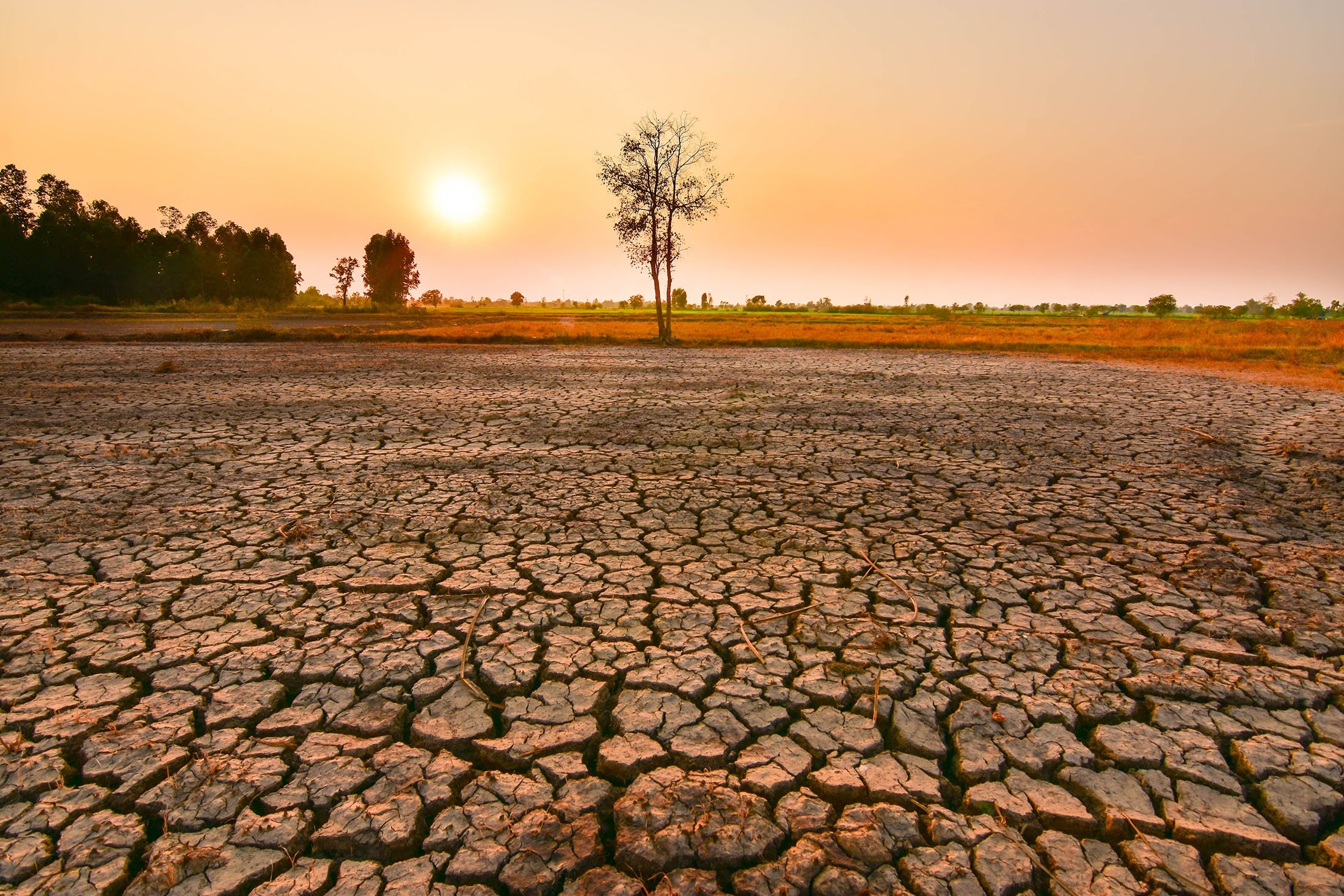 fenomeni el nino i motit ka filluar te dobesohet por temperaturat do te