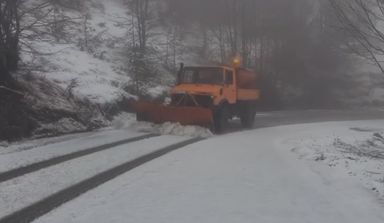 rikthehen reshjet e debores ne dardhe si paraqitet situata ne juglindje te vendit