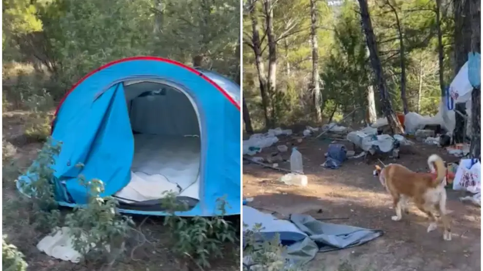 tentojne te rindertojne plantacionin me kanabis te shkaterruar me pare nga policia nje shqiptar i arrestuar e nje ne kerkim ne spanje