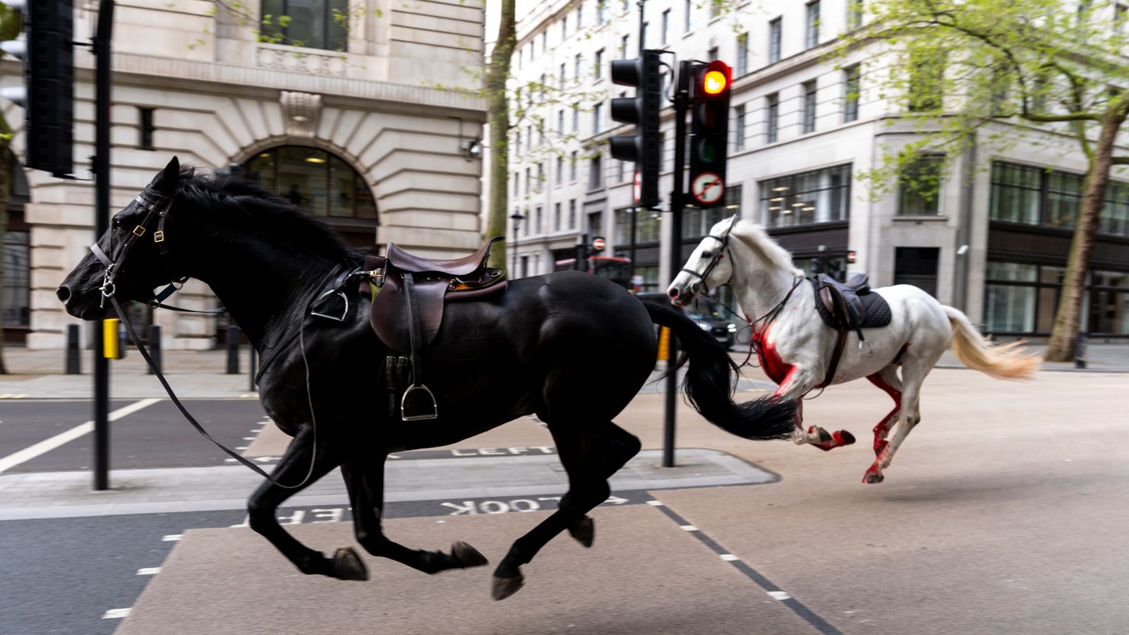 video foto kuajt terbohen ne rrugen e londres lene pas kater te plagosur