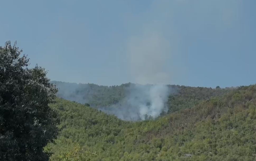 bilanci i zjarreve ne bashkine e lezhes flake aktive ende ne fshatin malecaj