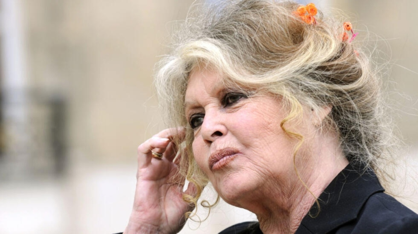 Brigitte Bardot apel Erdoganit për kafshët endacake në Turqi: Eutanazia apo robëria vetëm sa do e përkeqësojnë problemin