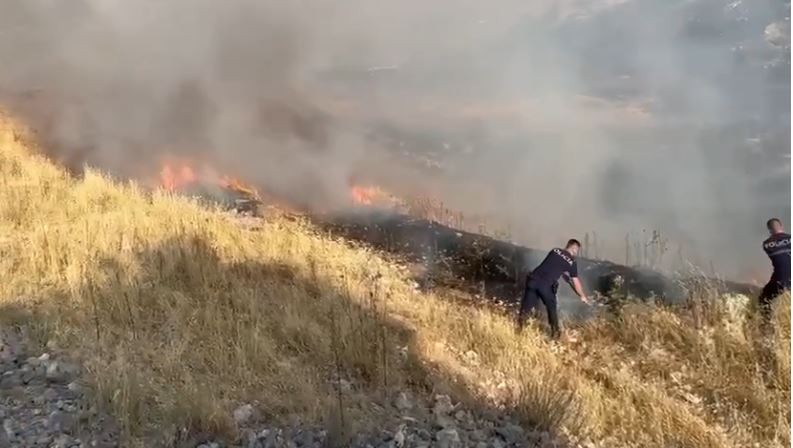 emri zjarri ne freshtan te gjirokastres ku u dogjen disa hektare kullota dhe u rrezikuan disa banesa vihet ne pranga piromani