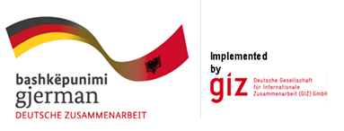 giz open call for tender