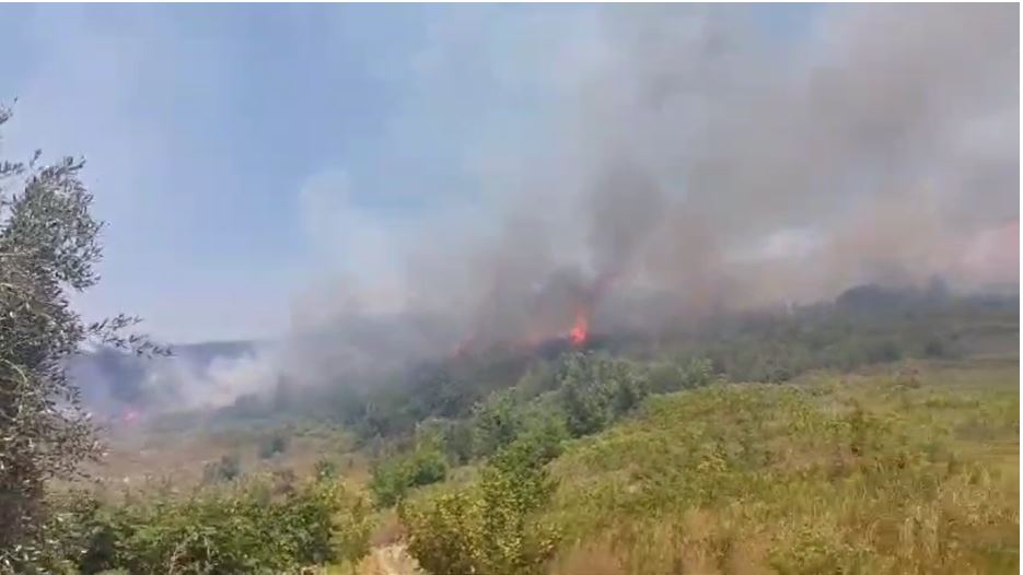 ne gjendje te dehur i vendos zjarrin siperfaqes me shkurre arrestohet nje shtetas