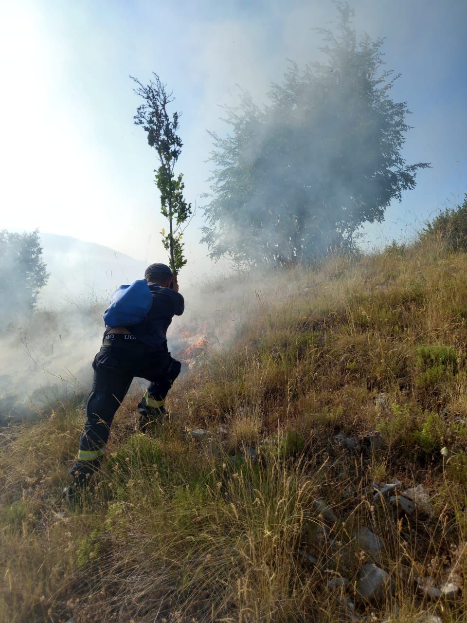 shuhen zjarret ne malin e gjere rrezikonin gjirokastren