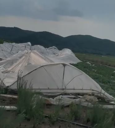 video stuhia ne elbasan demton thuajse totalisht serat dhe te mbjellat e banoreve ne zonen e