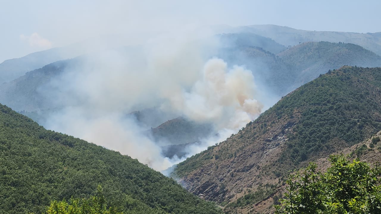 zjarr i permasave te medha ne ulez rrezikohen disa banesa dhe dy stane