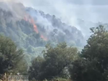 zjarrvenia do te ndeshkohet sipas ligjit taulant balla u cuan para drejtesise tre autore po punohet per