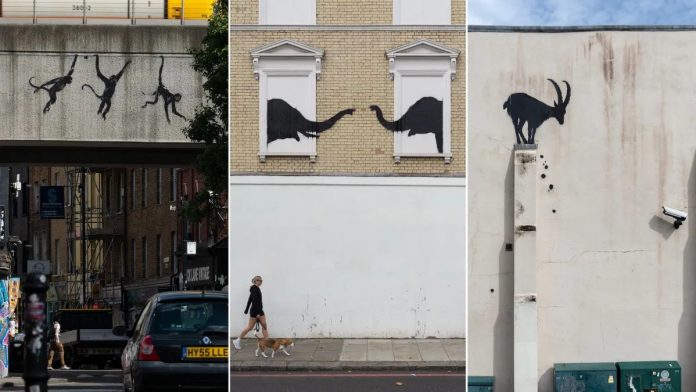 banksy i jep fund serialit me kafshet