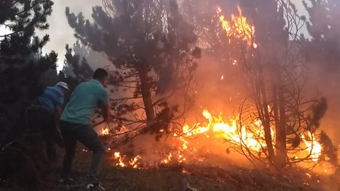 dhjetera banesa e biznese te djegura dhe hektare me pyje te shkrumbuara ky eshte bilanci i zjarreve ne gjirokaster ne 8 muaj