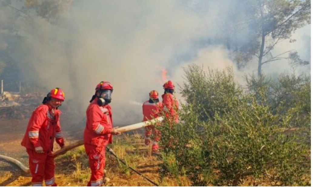 dyshohet se ndezi zjarr ne pyllin e fshatit cerrile ne mallakaster procedohet 34 vjecari