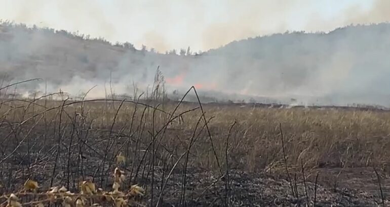 lezhe perfshihen nga flaket kater fshatra te zadrimes zjarri i perhapur me shpejtesi per shkak te eres rrezikon banesat