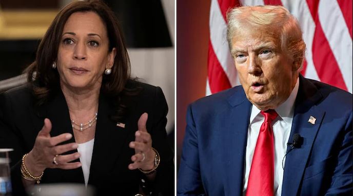 mendoja se kamala harris ishte indiane pastaj doli grua me ngjyre shtepia e bardhe pas komenteve te trump jane fyese