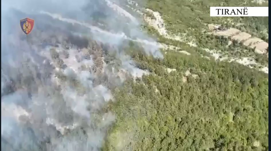 preu peme ne fshatin kutreq dhe i vuri zjarrin nje pjese te pyllit identifikohet dhe arrestohet 28 vjecari