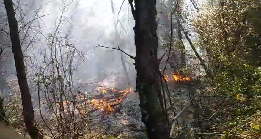 riaktivizohet zjarri ne lagjen boje ne kruje forcat e emergjences perballen me vatra te reja