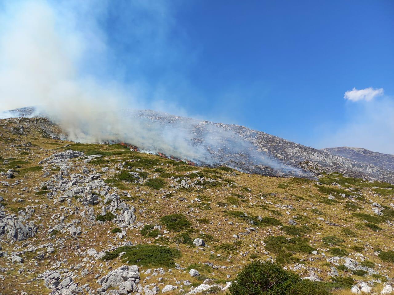 temperaturat e larta dhe era riaktivizojne vatrat e zjarrit pritet nderhyrja nga ajri