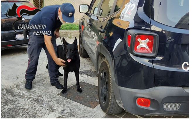 trafik nderkombetar droge operacion masiv ne rajonin marche dhjete persona te arrestuar