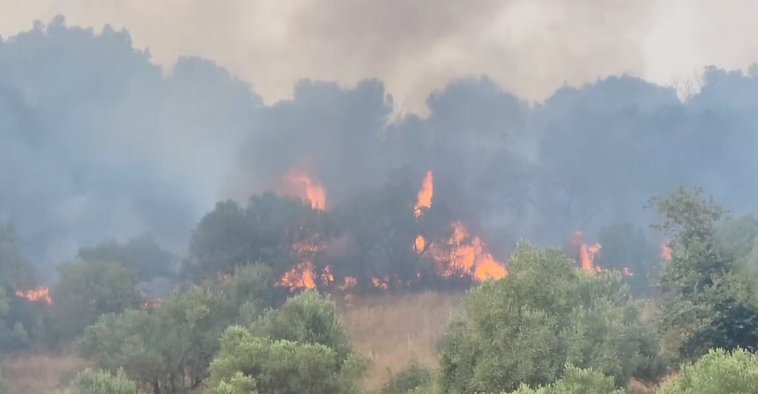 video aktivizohet nje zjarr i madh ne fier banoret kerkojne nderhyrje nga ajri per shuarjen