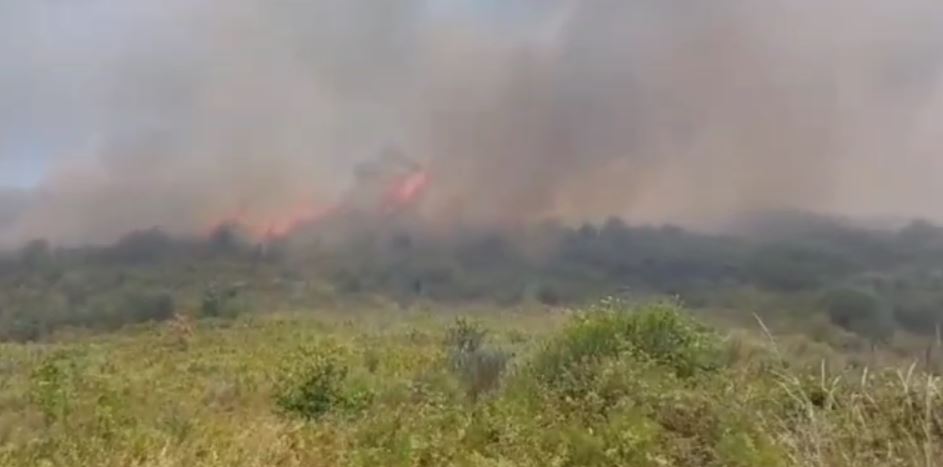 video flaket pushtojne fshatin malinat zjarri i qellimshem shkrumbon hektare me bimesi