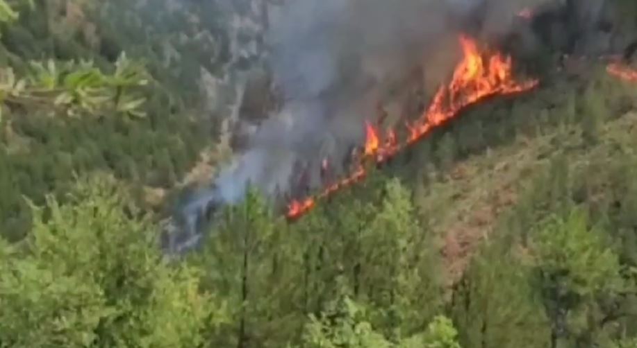 video perfshihet nga flaket parku kombetar ne malin e tomorrit nderhyrja e zjarrfikeseve e pamundur