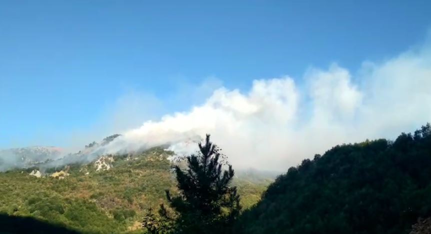 video zjarr i qellimshem ne qafe shtame pjese te pyllit te shkrumbuara kerkohet nderhyrje nga ajri dhe toka