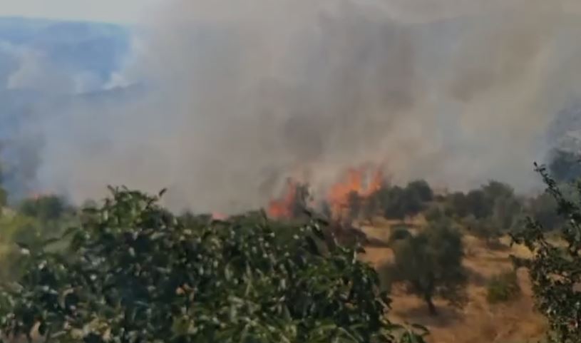 video zjarri ne mallakaster balla situata teper kritike pritet nderhyrja nga ajri