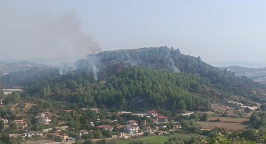 vijon te jete aktiv zjarri ne kodren e lekajt ne lushnje terreni i thyer veshtireson nderhyrjen