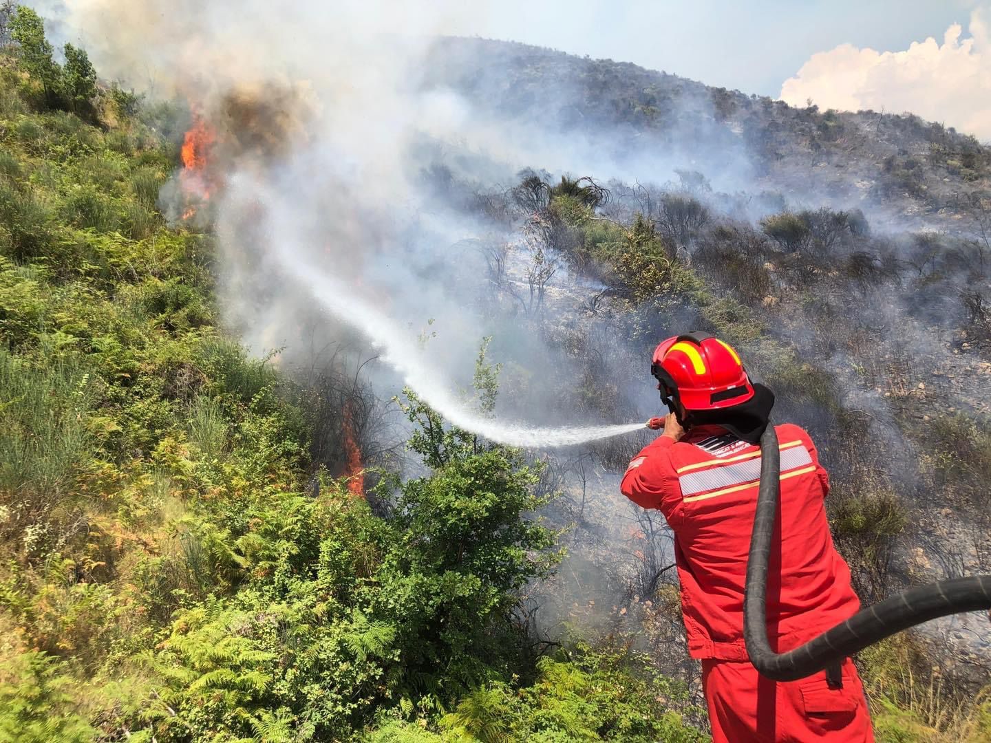 zjarr i permasave te medha ne elbasan sherbimet zjarrfikese po punojne per shuarjen e flakeve