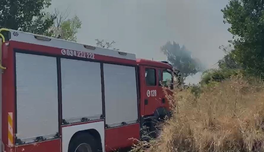 zjarri masiv rrezikon varrezat publike ne fier flaket perpijne ullishtet ne fshatin plyk