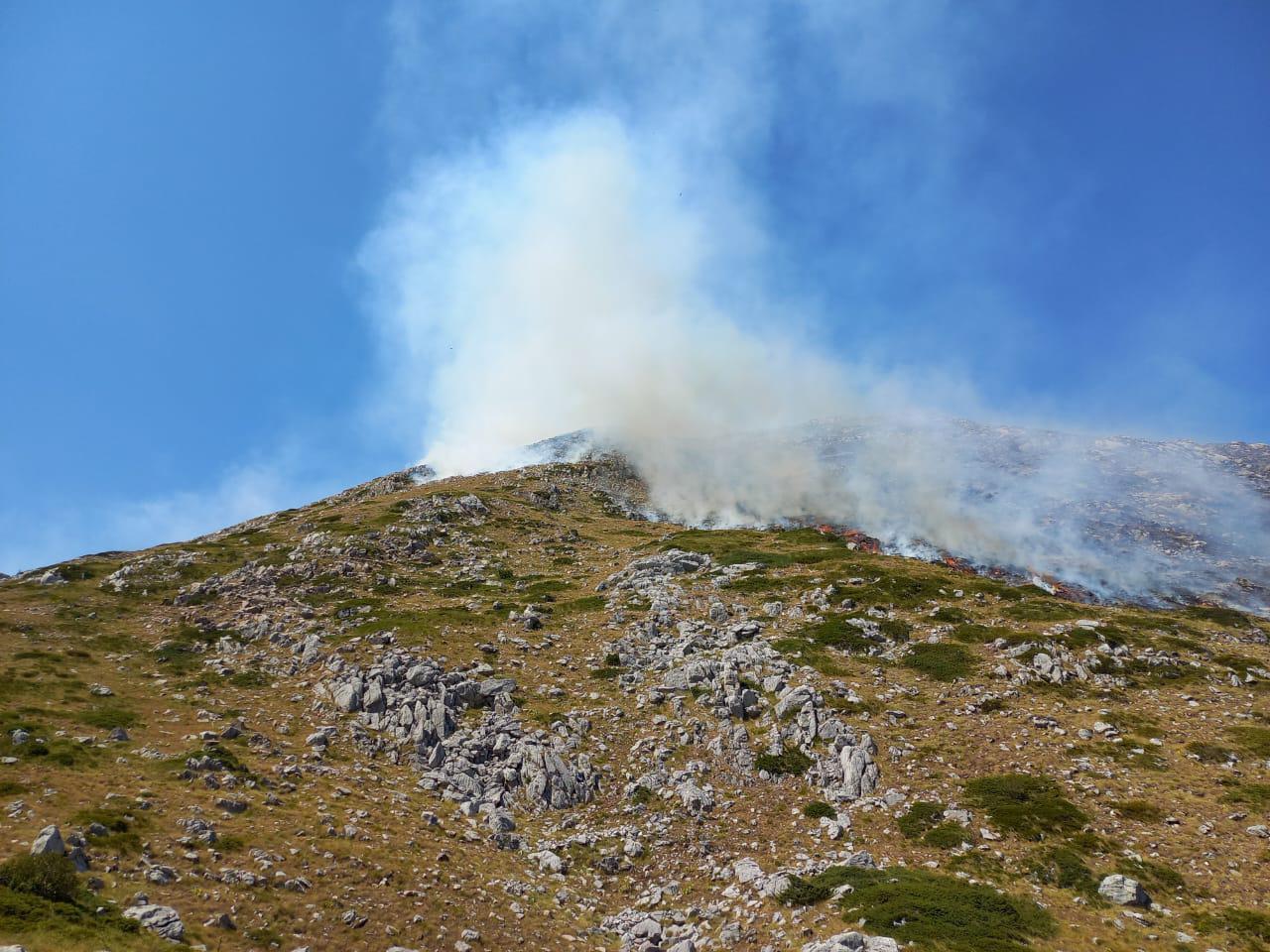 zjarri ne malin e thate dhe ne pogradec ja si paraqitet situata