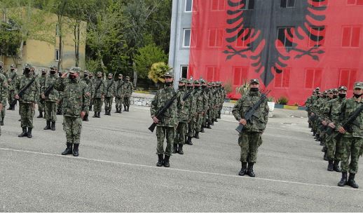 nga krijimi ne kohet antike deri me sot historiku i forcave te armatosura si behej regjistrimi i vullnetareve me lindjen e shtetit te pare ilir nisi